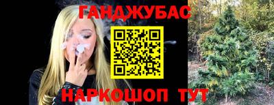 амф Тулун