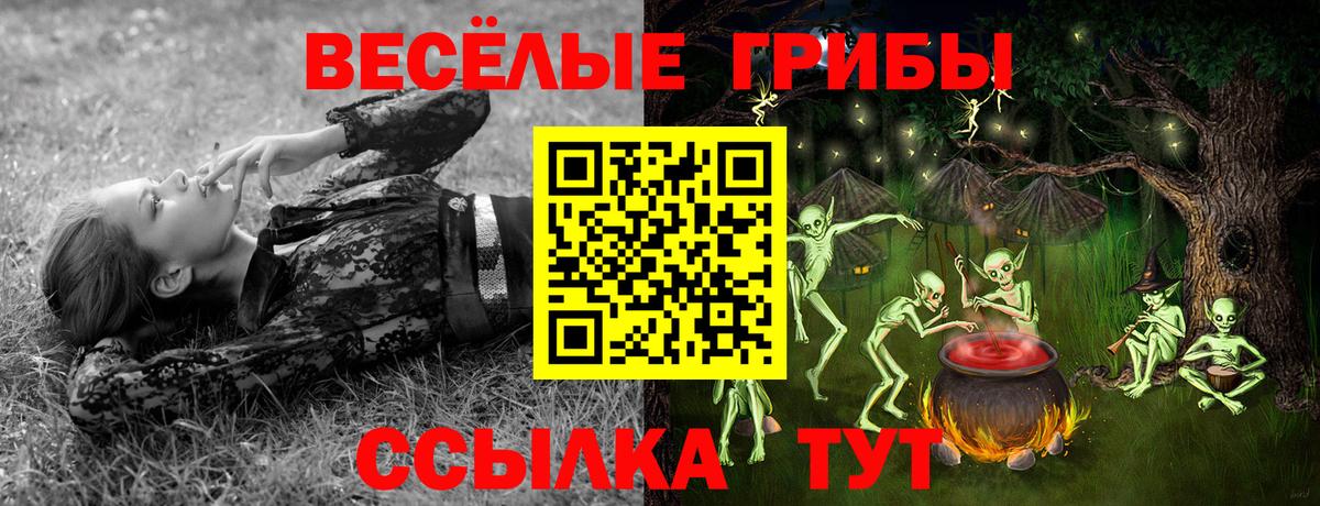 Псилоцибиновые грибы GOLDEN TEACHER Омск