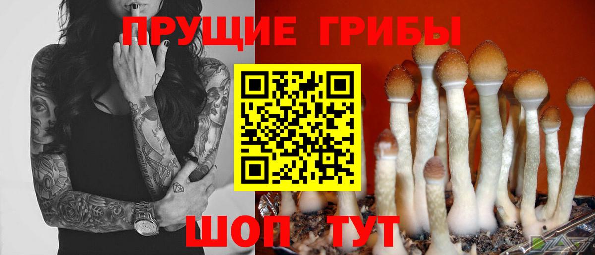Галлюциногенные грибы Magic Shrooms  Псилоцибиновые грибы Psilocybe  магазин  наркотиков  Омск  Вход с VPN 